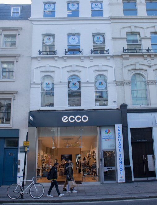 Rose of York School street view